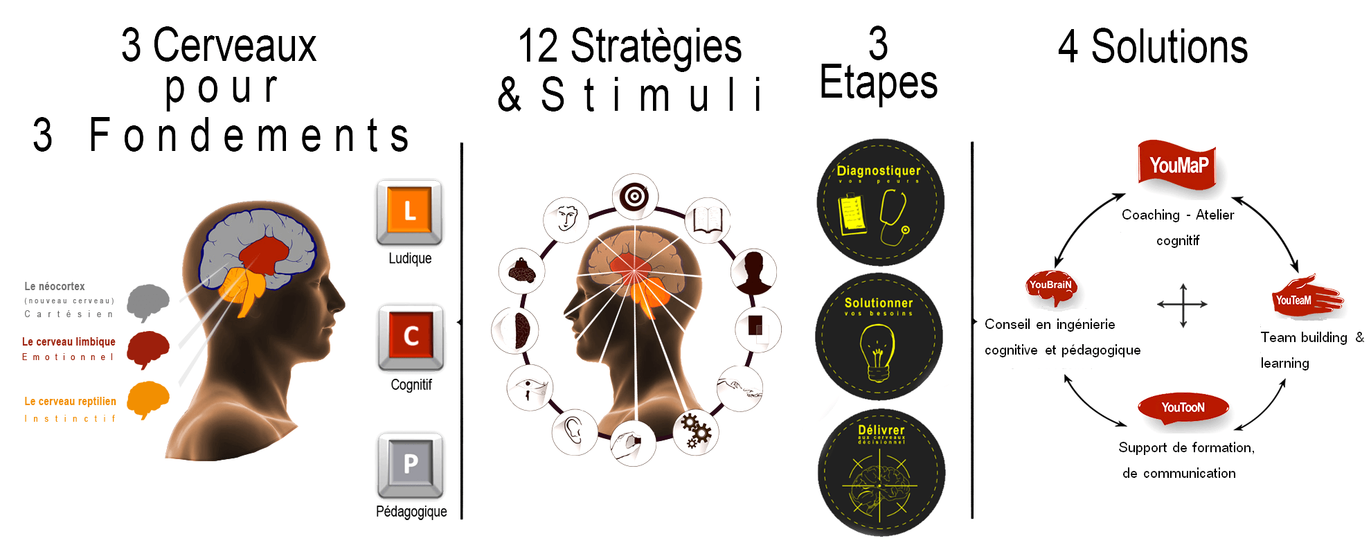 3 cerveaux pour 3 fondements stratégies étapes solutions 2016 4
